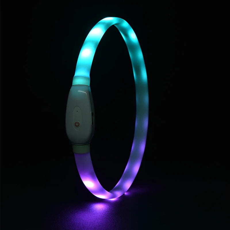 USB LED Dog Collar