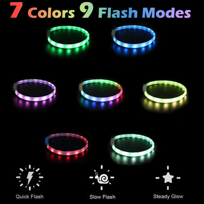 USB LED Dog Collar