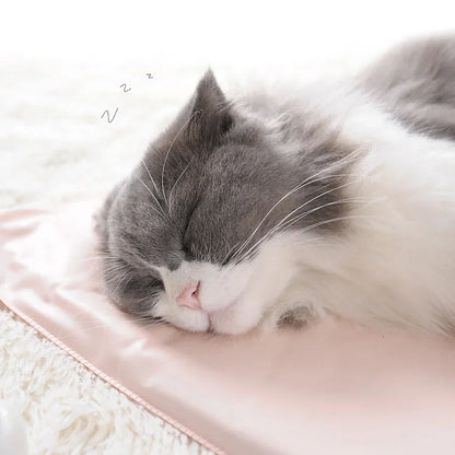 Heated Pet Blanket