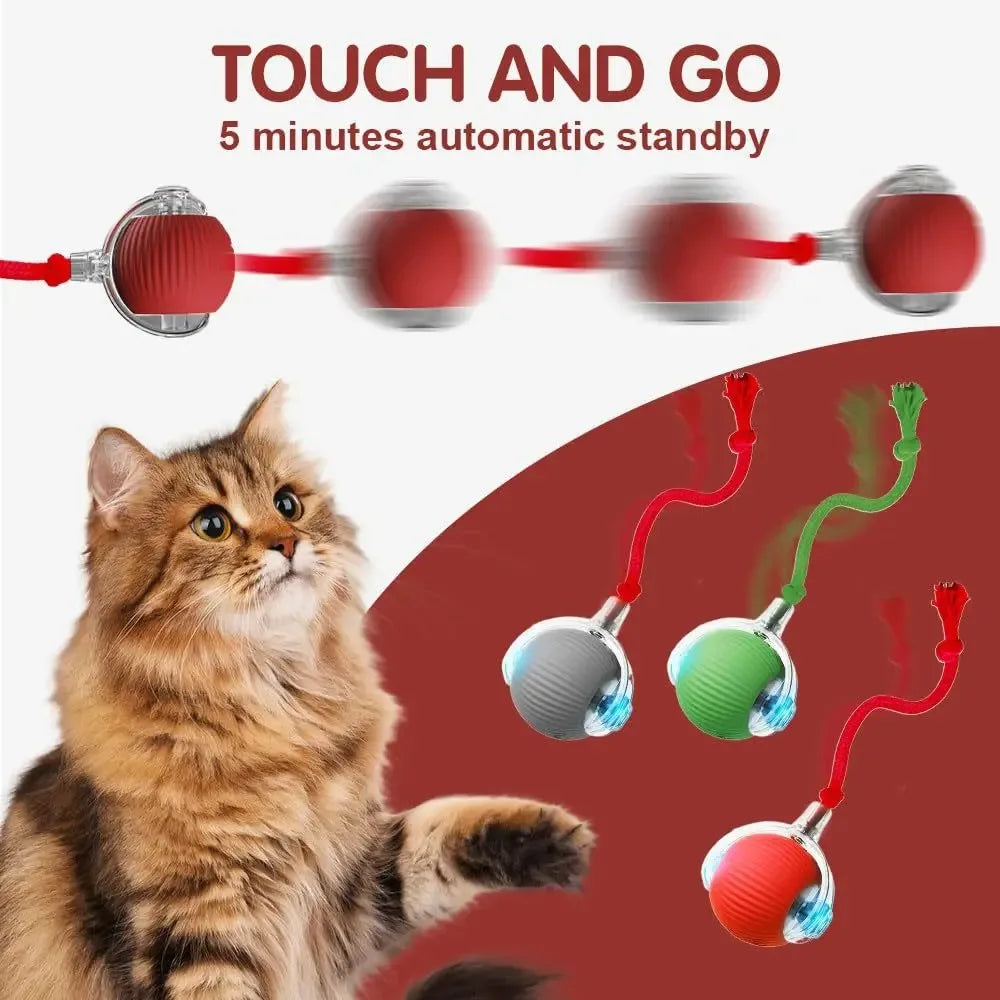 Smart Interactive Cat Ball