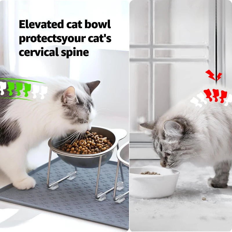 Raised Stainless Steel Pet Bowl