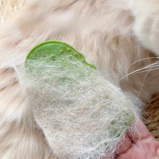 Self-Grooming Cat Brush
