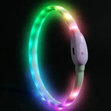 USB LED Dog Collar